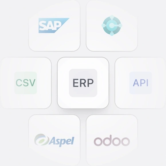 ERP Integrations